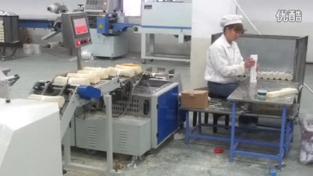 全自动挂面纸包装机-青岛华德立中一精工机械有限公司