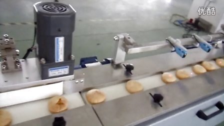 新科力理料包装机-自动理料食品包装机-高速理料线包装机械