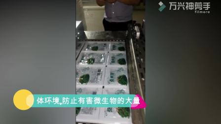 江苏鼎源食品机械制造有限公司食品包装食品