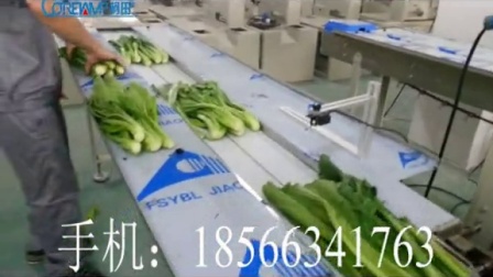 叶菜包装机 叶菜自动套袋包装机械 蔬菜包装机器厂家