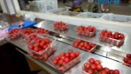 番茄包装机 西红柿包装机械 水果包装机 蔬菜包装机械厂 知名品牌