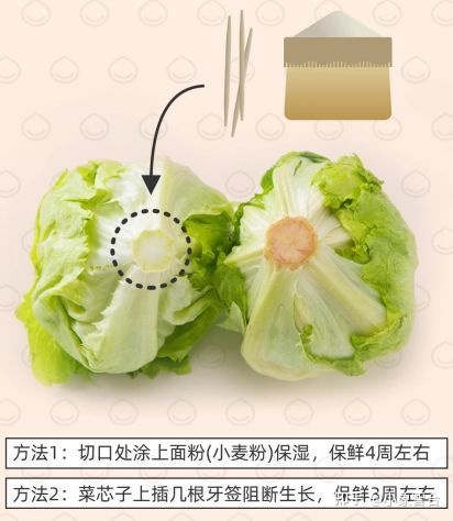 蔬菜保鲜冷库能保鲜多久_蔬菜保鲜包装技术_蔬菜长期保鲜技术