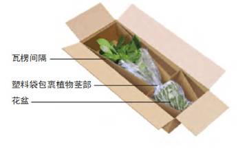 花卉包装材料_包装缓冲材料_花卉包装视频教程